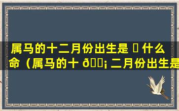 属马的十二月份出生是 ☘ 什么命（属马的十 🐡 二月份出生是什么命运）